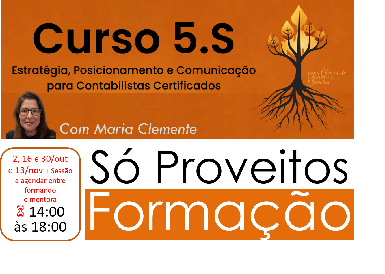 5.S – Estratégia, Posicionamento e Comunicação para Contabilistas Certificados (Lab)